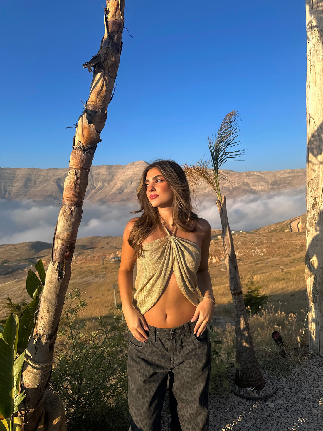Wander Top